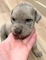 processed/3b392742-aef5-405d-a72a-371a455402d7/listing/a93519c9-48a4-4af4-b5a9-a8872403fe93/9ca8e83e-2c31-487a-b893-36702e40240b