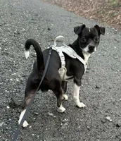 processed/3b3bc795-c0d7-4201-b724-32c34b173066/listing/53a96c99-88b4-4d2d-a110-23b19c76ec40/070537c5-cf23-48ed-ae85-ac644bb1a2e8