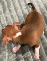 processed/3b3bc795-c0d7-4201-b724-32c34b173066/listing/53a96c99-88b4-4d2d-a110-23b19c76ec40/39f84a44-2a57-4b19-bb74-856c02301ef9