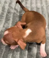 processed/3b3bc795-c0d7-4201-b724-32c34b173066/listing/53a96c99-88b4-4d2d-a110-23b19c76ec40/f97c987f-0be5-476d-8f01-58a2ce25fcce