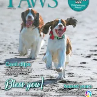 processed/3b40b00d-e82c-4145-8f18-4efe50ea27d7/facility/06044105-ec9d-4ca3-acd5-3603c5f3ce64