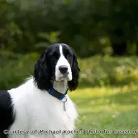 processed/3b40b00d-e82c-4145-8f18-4efe50ea27d7/facility/3000c045-911b-4957-812a-93fba9c7b9ad