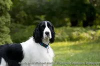 processed/3b40b00d-e82c-4145-8f18-4efe50ea27d7/facility/3000c045-911b-4957-812a-93fba9c7b9ad