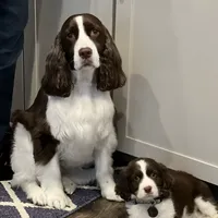 processed/3b40b00d-e82c-4145-8f18-4efe50ea27d7/facility/831fc277-51f1-473c-bbfa-a240408cafe0