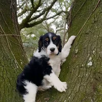 processed/3b40b00d-e82c-4145-8f18-4efe50ea27d7/facility/90fcfce8-54fe-4817-b4f9-ca7c74f8fb2d