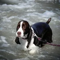 processed/3b40b00d-e82c-4145-8f18-4efe50ea27d7/facility/9b3bde21-ba26-4d43-b32f-ae7e41a466ae