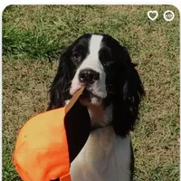 processed/3b40b00d-e82c-4145-8f18-4efe50ea27d7/facility/dd3b9ce0-e25f-4718-b6b6-0d1d9de1bed3