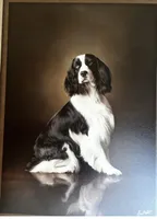 processed/3b40b00d-e82c-4145-8f18-4efe50ea27d7/facility/efdcc384-acfc-4e8c-b274-4292f2830dfb