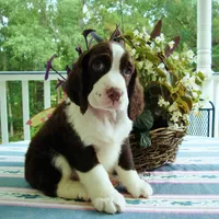 processed/3b40b00d-e82c-4145-8f18-4efe50ea27d7/facility/fec8493b-4105-4013-b1a6-fe1e43430d8e