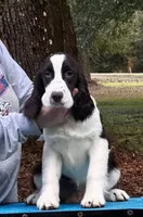 processed/3b40b00d-e82c-4145-8f18-4efe50ea27d7/listing/3ce45832-86ff-4bc2-85aa-4df355fbcb06/154ef93c-df6e-47ee-acb1-18ef7828fcc0