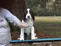 processed/3b40b00d-e82c-4145-8f18-4efe50ea27d7/listing/3ce45832-86ff-4bc2-85aa-4df355fbcb06/782fa5d4-7396-476b-a52d-7d840019ee81