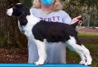 processed/3b40b00d-e82c-4145-8f18-4efe50ea27d7/listing/3ce45832-86ff-4bc2-85aa-4df355fbcb06/ba30742d-6767-487e-a4ad-73903b3bcbb1