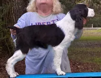 processed/3b40b00d-e82c-4145-8f18-4efe50ea27d7/listing/3ce45832-86ff-4bc2-85aa-4df355fbcb06/c4270ef1-91b2-42ac-9725-f748792d4460