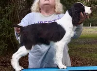 processed/3b40b00d-e82c-4145-8f18-4efe50ea27d7/listing/3ce45832-86ff-4bc2-85aa-4df355fbcb06/c7aba4c8-2461-4fe1-be03-077e5ee8ae1f