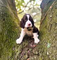 processed/3b40b00d-e82c-4145-8f18-4efe50ea27d7/listing/4ad55319-799d-4295-a374-6c1aa45c5f25/15badc77-8b0d-4c5a-b27c-f5ebd357f0a8