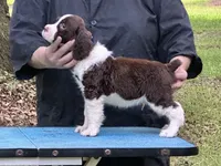 processed/3b40b00d-e82c-4145-8f18-4efe50ea27d7/listing/4ad55319-799d-4295-a374-6c1aa45c5f25/1be0aefb-3623-44bc-969d-aa44284ee96f