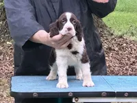 processed/3b40b00d-e82c-4145-8f18-4efe50ea27d7/listing/4ad55319-799d-4295-a374-6c1aa45c5f25/5effc1e4-9c26-4dc2-a133-8ba67e52c293