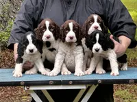 processed/3b40b00d-e82c-4145-8f18-4efe50ea27d7/listing/4ad55319-799d-4295-a374-6c1aa45c5f25/84e2193f-0d9d-48d3-8f3f-273758069884