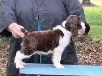 processed/3b40b00d-e82c-4145-8f18-4efe50ea27d7/listing/4ad55319-799d-4295-a374-6c1aa45c5f25/9040cc07-06e9-4673-b4a1-4c0cec968dae