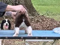 processed/3b40b00d-e82c-4145-8f18-4efe50ea27d7/listing/4ad55319-799d-4295-a374-6c1aa45c5f25/9afa639d-499f-4a65-9b50-a111e652e6de