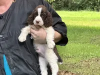 processed/3b40b00d-e82c-4145-8f18-4efe50ea27d7/listing/4ad55319-799d-4295-a374-6c1aa45c5f25/a80f6bc6-9333-4545-bb75-5f6296e9e3c1