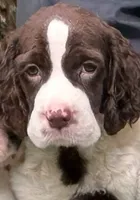 processed/3b40b00d-e82c-4145-8f18-4efe50ea27d7/listing/4ad55319-799d-4295-a374-6c1aa45c5f25/c55f3b58-c3dd-48a2-a6f0-b6fd98847631