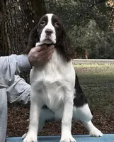 processed/3b40b00d-e82c-4145-8f18-4efe50ea27d7/listing/51dbe97e-e4d8-4c95-976c-8038d1c4aefb/24b8b88f-c927-429c-b5ec-782882805d98