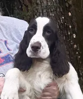 processed/3b40b00d-e82c-4145-8f18-4efe50ea27d7/listing/51dbe97e-e4d8-4c95-976c-8038d1c4aefb/2ff8f074-24d0-4cfd-badc-773ec2cabd11