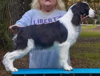 processed/3b40b00d-e82c-4145-8f18-4efe50ea27d7/listing/51dbe97e-e4d8-4c95-976c-8038d1c4aefb/61305779-bfbc-4777-94aa-bf2e7a34aca4