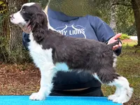 processed/3b40b00d-e82c-4145-8f18-4efe50ea27d7/listing/51dbe97e-e4d8-4c95-976c-8038d1c4aefb/e0cea579-ba71-4c81-b8ed-949b33a05c92