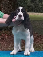 processed/3b40b00d-e82c-4145-8f18-4efe50ea27d7/listing/924987b1-c27e-4fe0-ba89-f14541eb3570/87beff3d-0cfc-472b-9af4-b1c92940f749