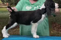 processed/3b40b00d-e82c-4145-8f18-4efe50ea27d7/listing/924987b1-c27e-4fe0-ba89-f14541eb3570/992cbd15-4af6-420d-9621-e883bc29fcb6