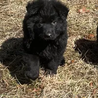 processed/3b417b4f-422e-4fa2-9fac-dc2c79bbbdad/facility/38a352c7-ff0c-480e-bc0d-d950063dc7d8