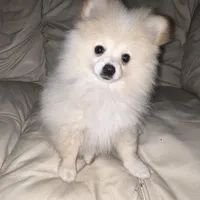 processed/3b417b4f-422e-4fa2-9fac-dc2c79bbbdad/facility/3d66df4a-d6c1-4a0e-906a-ef6bfb6d4675