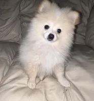 processed/3b417b4f-422e-4fa2-9fac-dc2c79bbbdad/facility/3d66df4a-d6c1-4a0e-906a-ef6bfb6d4675