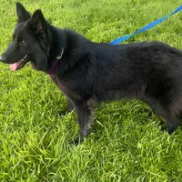 processed/3b417b4f-422e-4fa2-9fac-dc2c79bbbdad/facility/41ce92bb-855f-4cbd-b5bb-4134f610d018