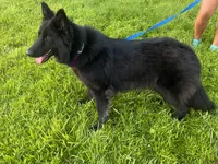 processed/3b417b4f-422e-4fa2-9fac-dc2c79bbbdad/facility/41ce92bb-855f-4cbd-b5bb-4134f610d018