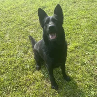 processed/3b417b4f-422e-4fa2-9fac-dc2c79bbbdad/facility/4c23ce0e-4209-4231-bff8-b26c01b20806