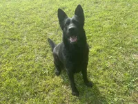 processed/3b417b4f-422e-4fa2-9fac-dc2c79bbbdad/facility/4c23ce0e-4209-4231-bff8-b26c01b20806