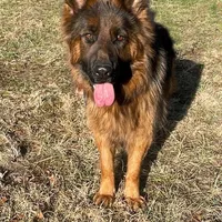 processed/3b417b4f-422e-4fa2-9fac-dc2c79bbbdad/facility/5290ef2b-d361-4dac-9223-1d6754f0bce3