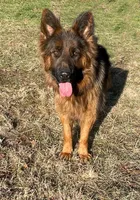 processed/3b417b4f-422e-4fa2-9fac-dc2c79bbbdad/facility/5290ef2b-d361-4dac-9223-1d6754f0bce3