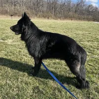 processed/3b417b4f-422e-4fa2-9fac-dc2c79bbbdad/facility/55cc411c-078b-4c62-bb99-9bcba0e9d7db