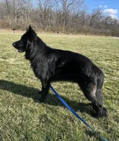 processed/3b417b4f-422e-4fa2-9fac-dc2c79bbbdad/facility/55cc411c-078b-4c62-bb99-9bcba0e9d7db