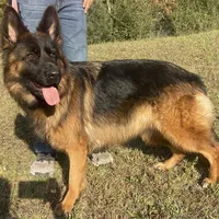 processed/3b417b4f-422e-4fa2-9fac-dc2c79bbbdad/facility/7304f134-03b6-4eb0-b529-7e60627bf3b4