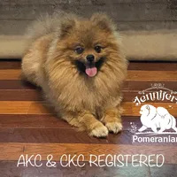 processed/3b417b4f-422e-4fa2-9fac-dc2c79bbbdad/facility/99e40776-b21d-4a23-93a7-b38ba7e6aeec