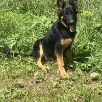 processed/3b417b4f-422e-4fa2-9fac-dc2c79bbbdad/facility/a1964141-8dd0-4bfa-8cb0-88cdd7ede7d0