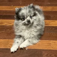 processed/3b417b4f-422e-4fa2-9fac-dc2c79bbbdad/facility/d7387ff5-a725-4d9c-b1c8-9c59de99c369