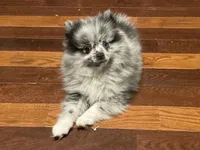 processed/3b417b4f-422e-4fa2-9fac-dc2c79bbbdad/facility/d7387ff5-a725-4d9c-b1c8-9c59de99c369