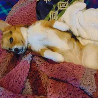 processed/3b43f6b9-ed39-4fe4-8093-661f87b4cb12/facility/16a0ab0a-e675-4c55-81c8-868f802394ba