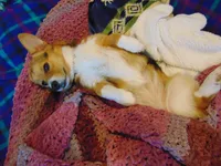 processed/3b43f6b9-ed39-4fe4-8093-661f87b4cb12/facility/16a0ab0a-e675-4c55-81c8-868f802394ba